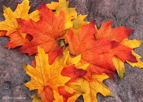 autumn silk leaves